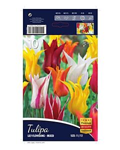 Лале Lilyflowering-Mixed