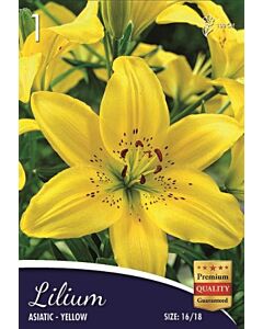 Лилиум Asiatic Yellow 16/18 