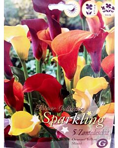 Кала Sparkling Orange/Yellow 