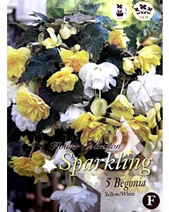Бегонии Mix Sparkling (Yellow/ white)