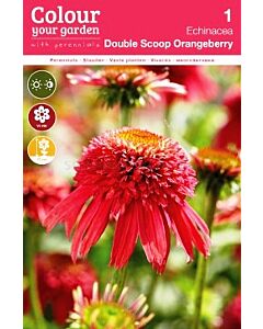 Ехинацея Double scoop orangeberry - 1бр