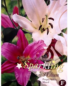 Лилиум Sparkling Purple/White