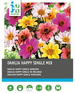 Далия happy single gemengd / 1 оп- 5 корен