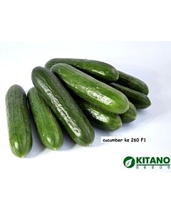 Семена Краставици тип Beth Alpha KS 260 - 100с