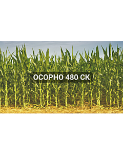 Осорно 480 СК - 5 л