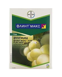Флинт макс ВГ