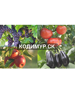 Кодимур СК