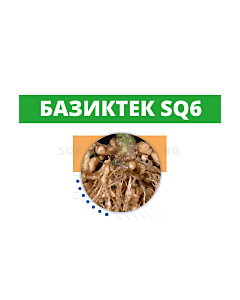 Базиктек SQ6