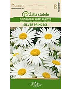 Семена Маргаритки / SHASTA DAISY SILVER PRINCESS / 'SK -1 оп