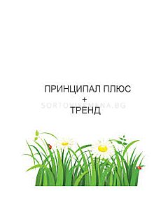 Принципал Плюс 2200 г. + Тренд 0.5 л.