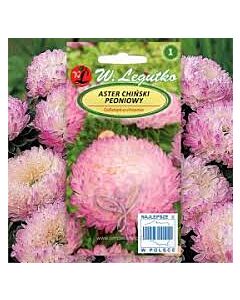 Астра божур бяло-розова /Callistephus chinensis Paeony pink&white/ LG - 1 оп