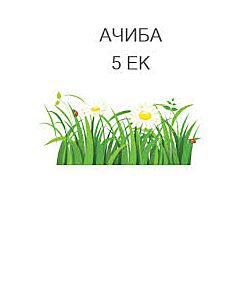АЧИБА 5 ЕК