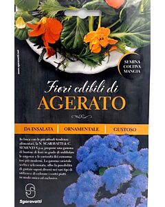 Ядлив агератум - Ageratum