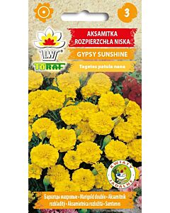 Тагетес жълт Gypsy Sunshine- Tagetes patula nana - 1г