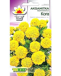 Семена Тагетес Kora жълт /TF-1 гр