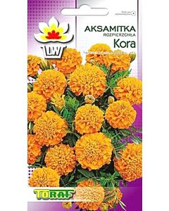 Тагетес / Kora pom/TF-1 гр