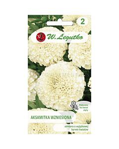 ЛГ ТАГЕТЕС Tagetes erecta creamy-white
