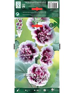 Ружа крем - Alcea Creme de Cassis- 1 бр
