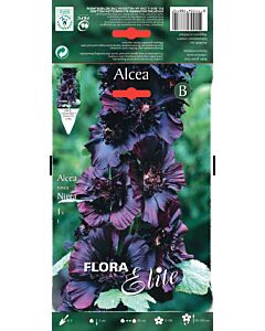 Ружа черна - Alcea rosea Nigra - 1 оп
