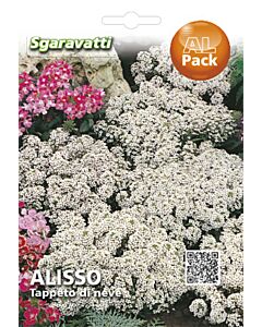 Семена Алисум - бял`SG  