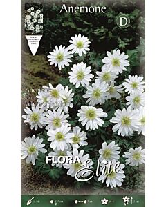 анемоне White Splendour (1 оп - 10 луковици)