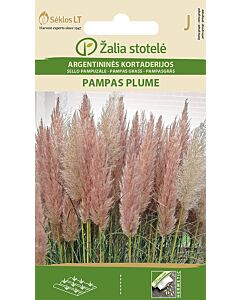 Семена Пампаска трева лилава / GRASS PAMPAS PLUME / 'SK -1 оп