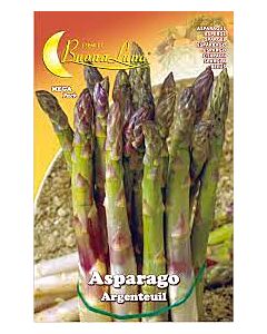 Аспержи ARGENTEUIL MEGA PACK - BL