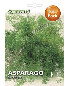 Семена Аспарагус`SG