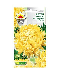 Астра божур жълт /Aster peon. żółty / TF -1 гр