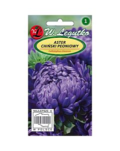 ЛГ АСТРА БОЖУР ВИОЛЕТОВА Callistephus chinensis Paeony violet