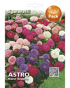 Семена Астра ниска микс`SG