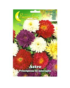 Астра PRINCIPESSA MIX- ASTRO BTS - BL