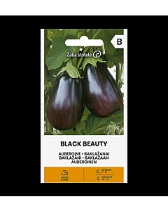 СК ПАТЛАДЖАН ЧЕРНА КРАСАВИЦА EGGPLANT, BLACK BEAUTY  
