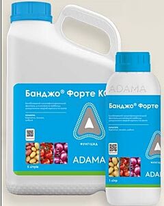 БАНДЖО 5 л