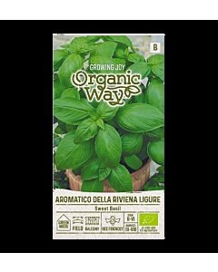СК СЕМЕНА БОСИЛЕК СЛАДЪК РИВЕНА OW BASIL SWEET AROMATICO DELLA RIVIENA