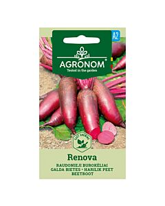 СК САЛАТНО ЦВЕКЛО РЕНОВА BEETROOT, RENOVA