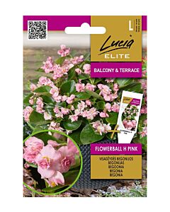СК СЕМЕНА БЕГОНИЯ FLOWERBALL H PINK - 30 семена