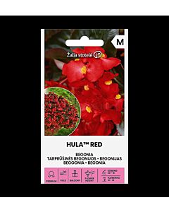 СК БЕГОНИЯ ХУЛА BEGONIA HULA™ RED