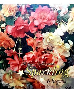Бегонии Mix Sparkling