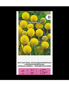 СК КРАСПЕДИЯ BILLY BUTTONS