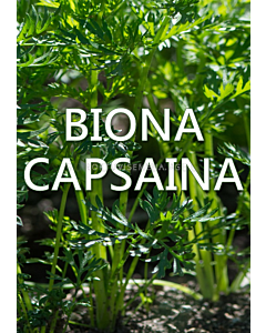 Биона Капсаина / Capsaina