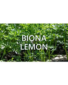 Biona Lemon – Биона Лимон - 1л