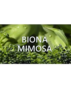 Biona Mimosa – Биона Мимоза - 1л