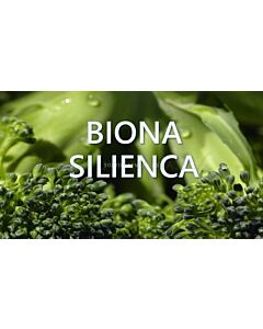 Биона Силиенка / Silienca