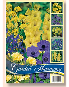 Лятна колекция от луковици микс за градина в синьо и жълто / Collection Flowerbulbs for Summergarden in blue and yellow / 1 оп (75 бр)