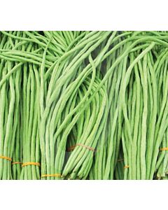 Аспержов боб, ярд лонг - Yard Long Bean (5.00г)