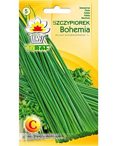 Див лук Бохемия -2 г