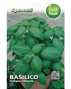 Семена босилек Italiano Comune`SG