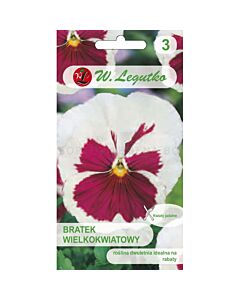 ЛГ ТЕМЕНУЖКА БЯЛО-ВИОЛЕТОВА Viola x wittrockiana white with pinkblotch