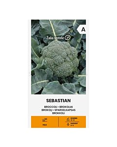СК СЕМЕНА БРОКОЛИ SEBASTIAN